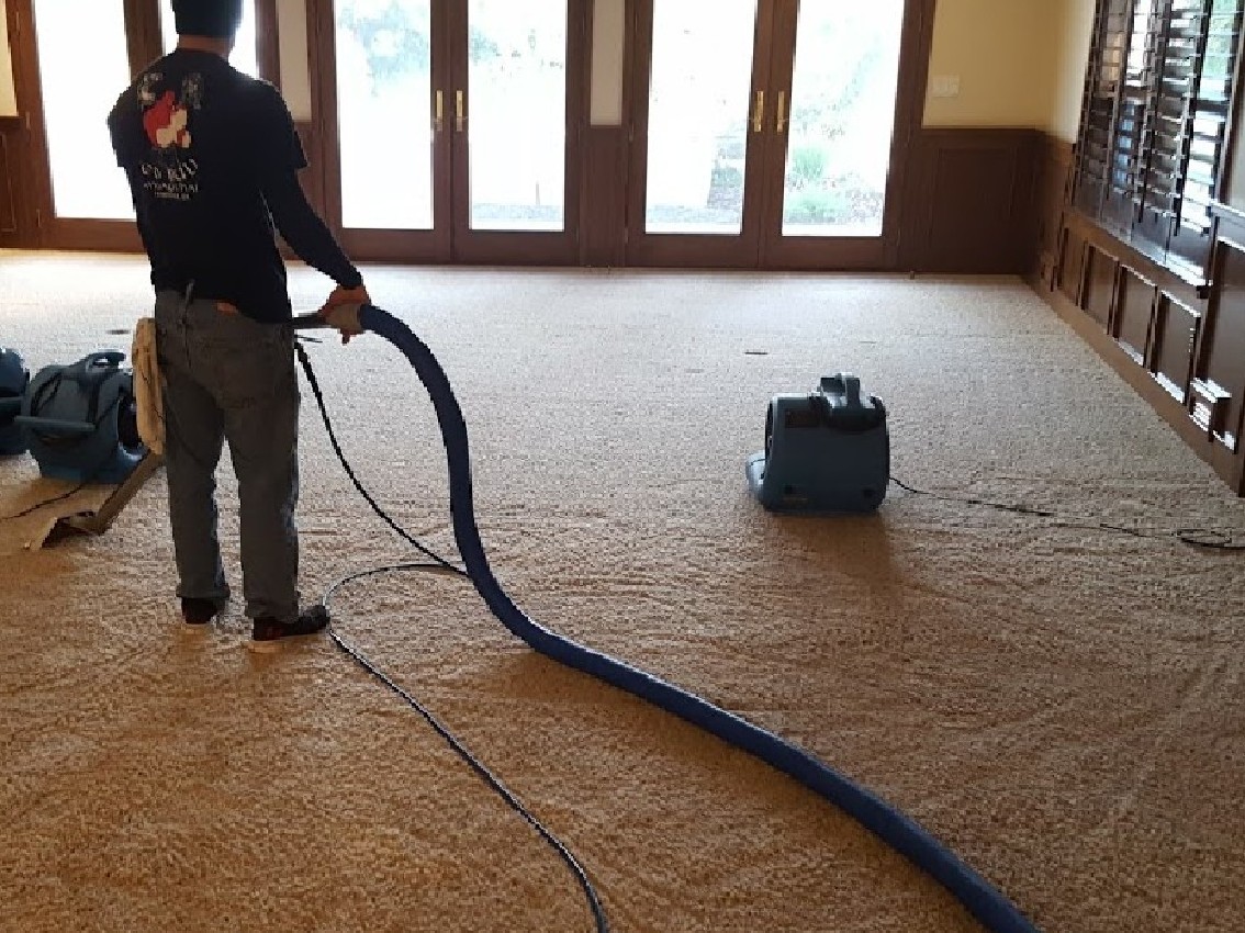 Professional carpetcleaning